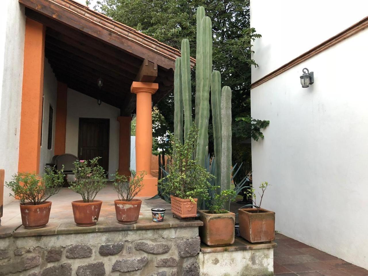 Las Alamedas Departamentos Centricos Con Estacionamiento Privado Guanajuato Exterior foto