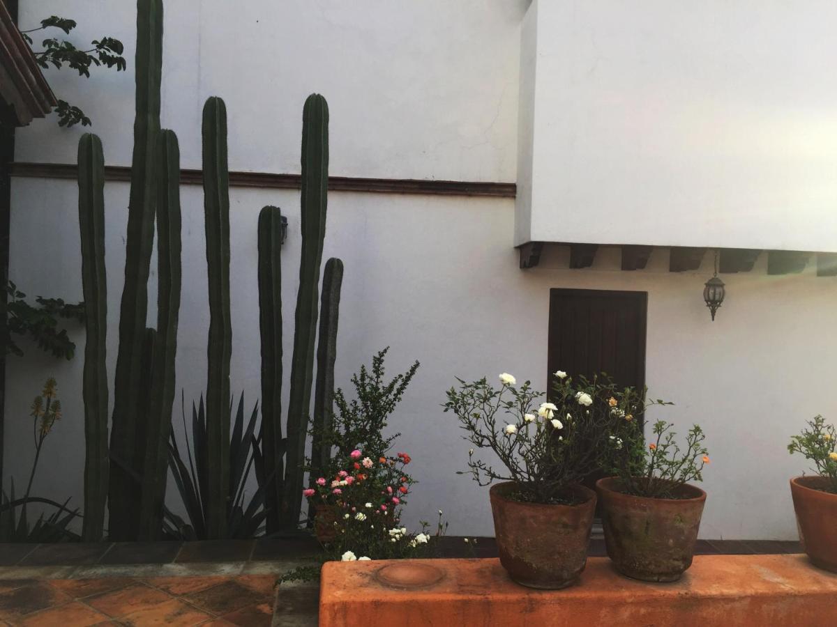 Las Alamedas Departamentos Centricos Con Estacionamiento Privado Guanajuato Exterior foto